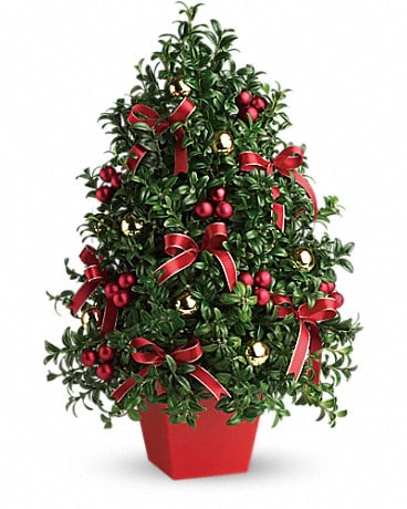 Deck The Halls Tree