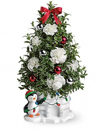 Send a Hug® Precious Penguin by Teleflora