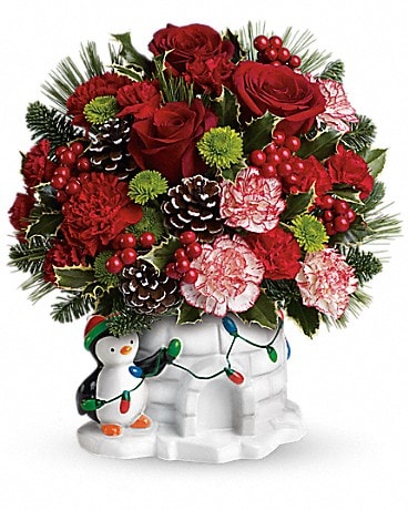 Send a Hug® Christmas Cutie by Teleflora