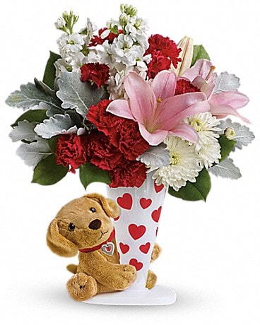Send a Hug® You're Fur Me by Teleflora
