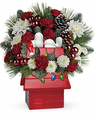 Snoopy's Cookie Jar by Teleflora