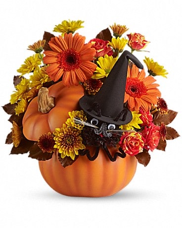 Teleflora's Bewitched Cat Bouquet