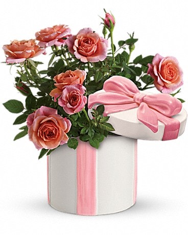 Teleflora's Rose Garden