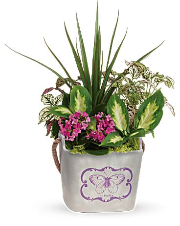 Teleflora's Butterfly Hideaway Plant Garden