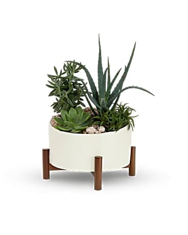 Teleflora's Desert Chic Garden