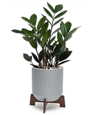 Teleflora's Mid-Mod Classic