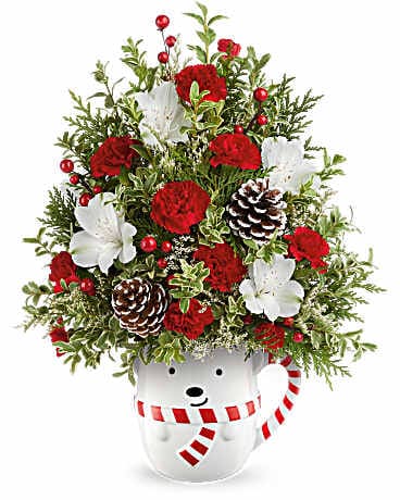 Teleflora's Send A Hug® Snowy Lane Tree