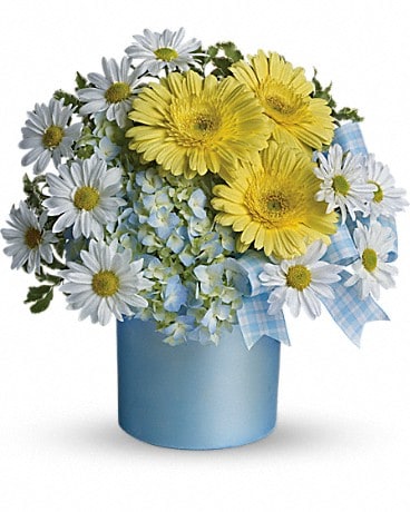 Teleflora's Once Upon a Daisy