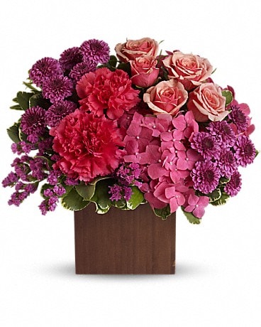 Teleflora's Posh Plums
