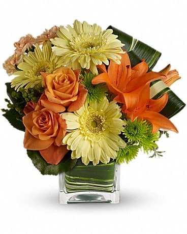 Teleflora's Citrus Crush