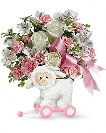 Teleflora's Sweet Little Lamb - Baby Pink
