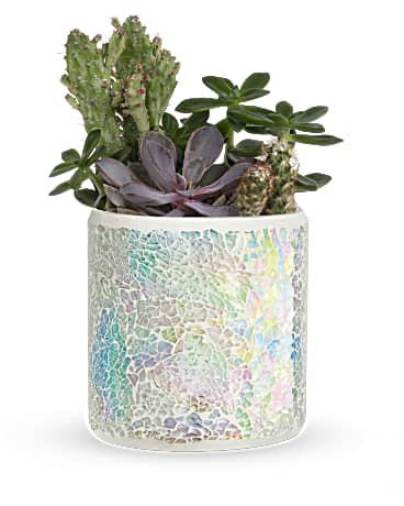 Teleflora's Iridescent Oasis Garden