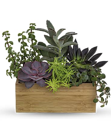 Teleflora's Grow Positive Garden