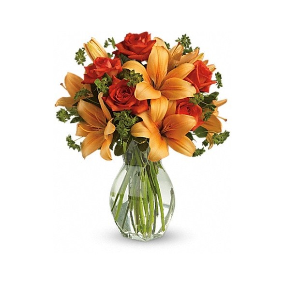 Fiery Lily and Rose